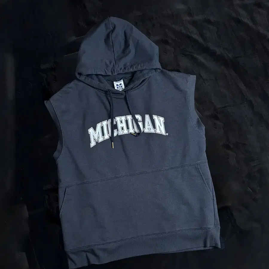 일본빈티지 MICHIGAN 반팔 후드티