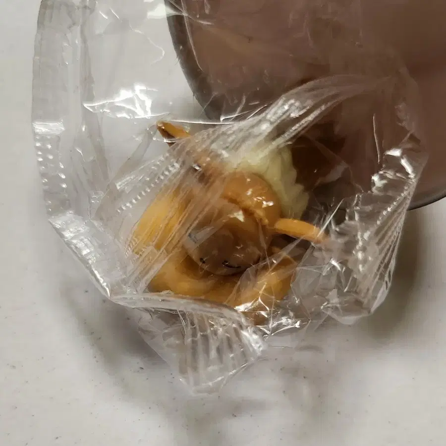 포켓몬스터 음료수 포켓몬볼 이브이 미개봉