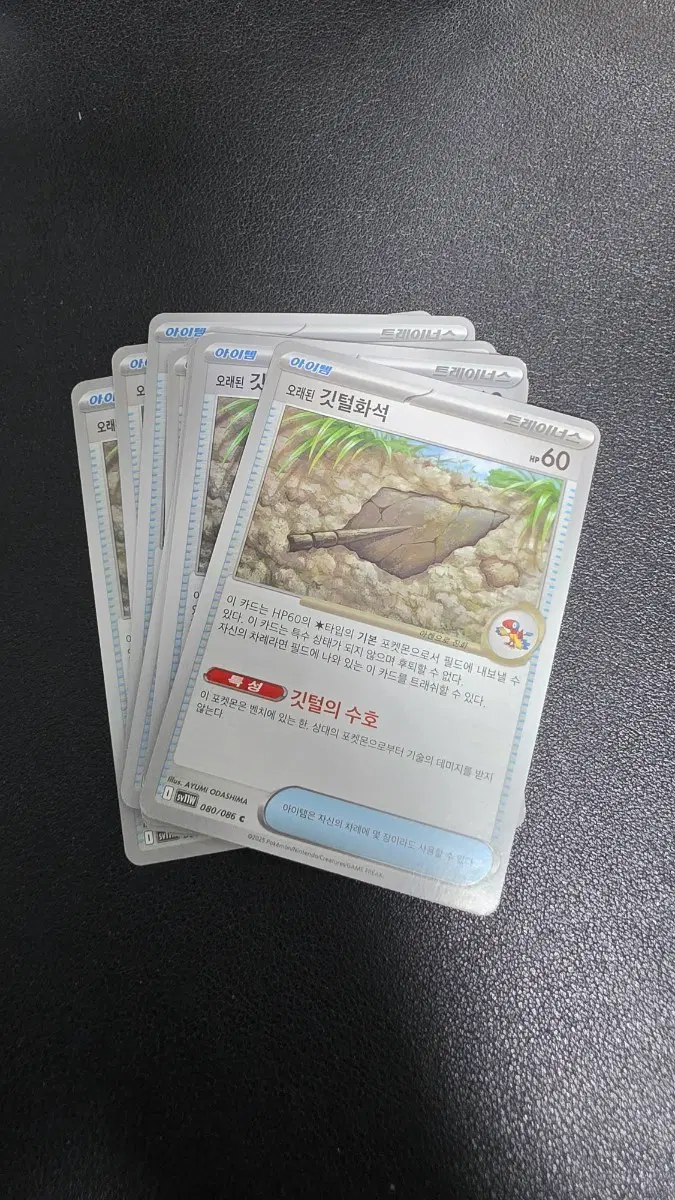 포켓몬 카드 오래된 깃털화석