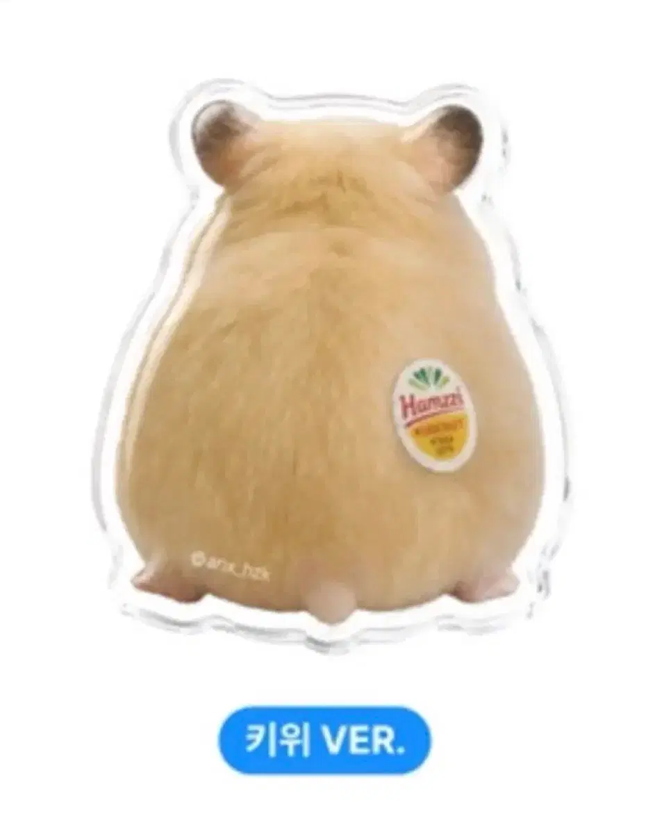 김햄찌 키위 그립톡 삽니다ㅅㅅㅅㅅㅅㅅㅅ