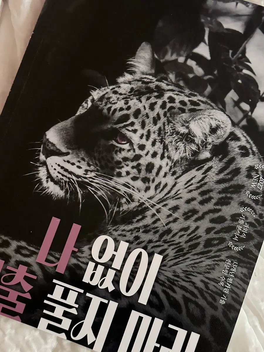 언매 전형태 나기풀 새제품