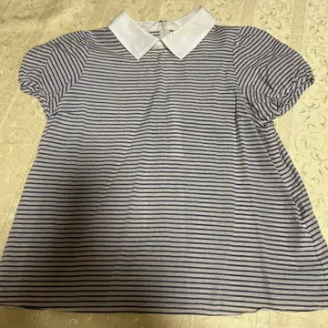 카라 부착 보더 반팔 블라우스