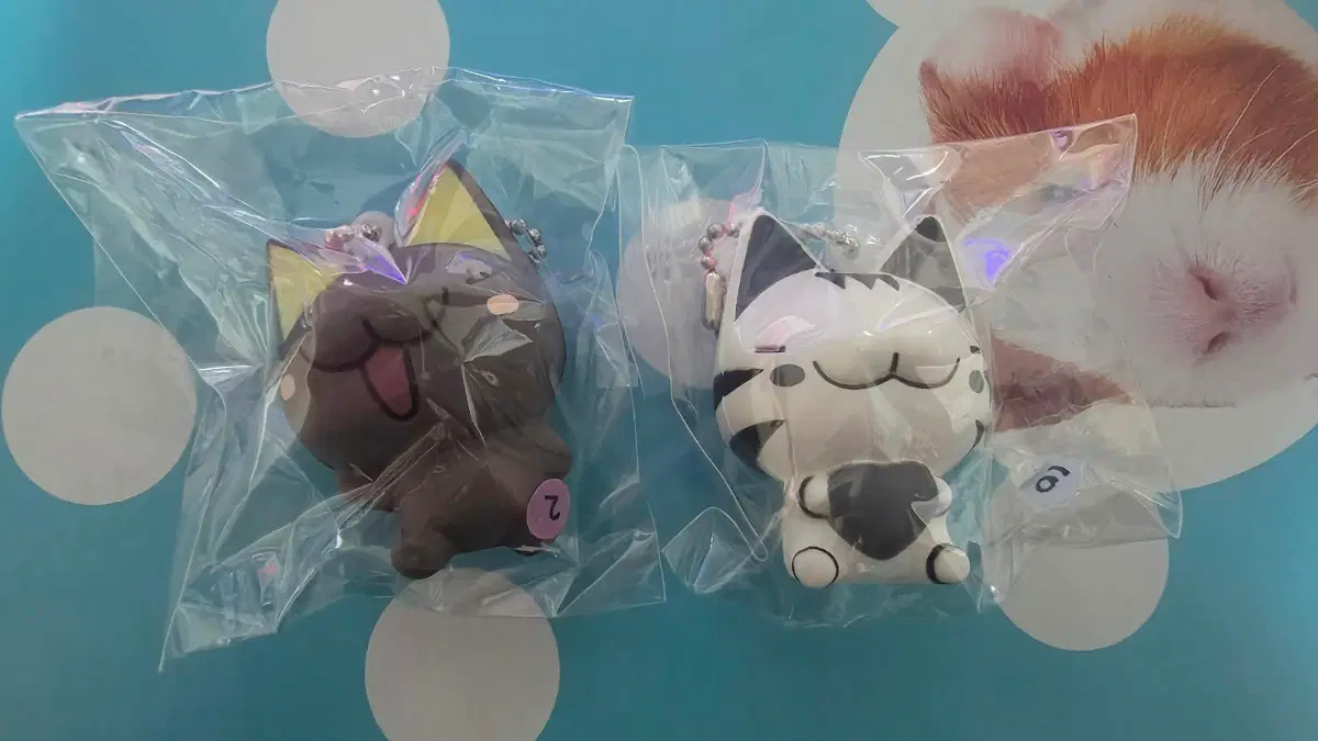 치비갤러리 스퀴시 키링 고양이 세트