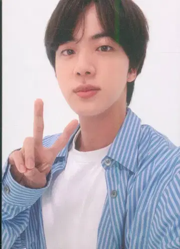 BTS Fortune Box JIN 트레이딩 카드 B ver
