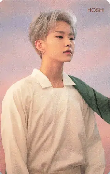 SEVENTEEN 떨어지는 꽃잎 HOSHI 트레이딩 카드 Pink