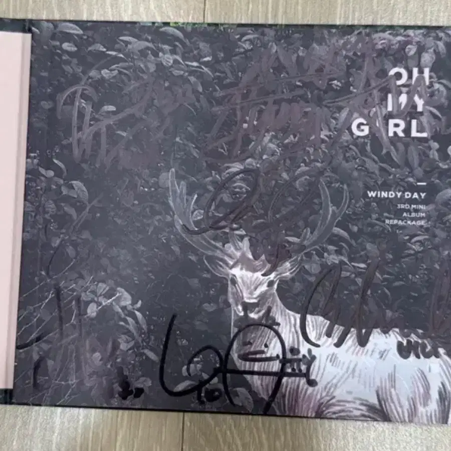 급처) 오마이걸 윈디데이 싸인앨범