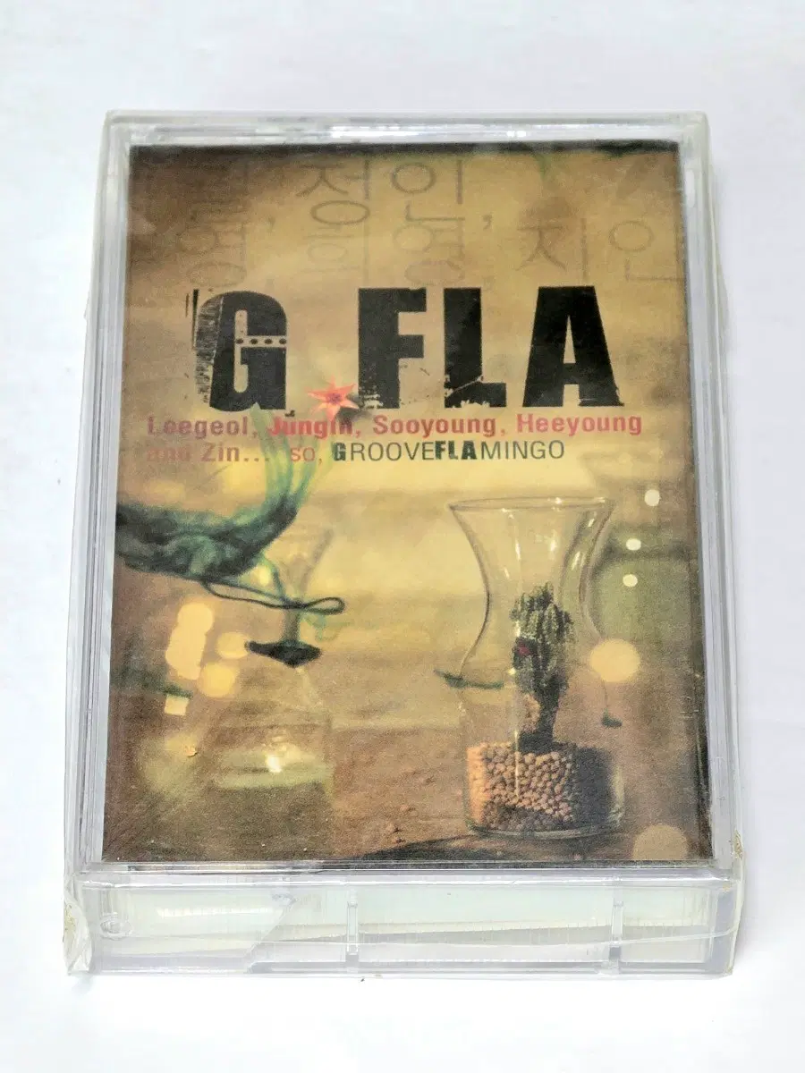 지플라 (G.Fla) 1집 Groove Flamingo 카세트테이프 판매합니다 (정인 소속)미개봉급(재포장)