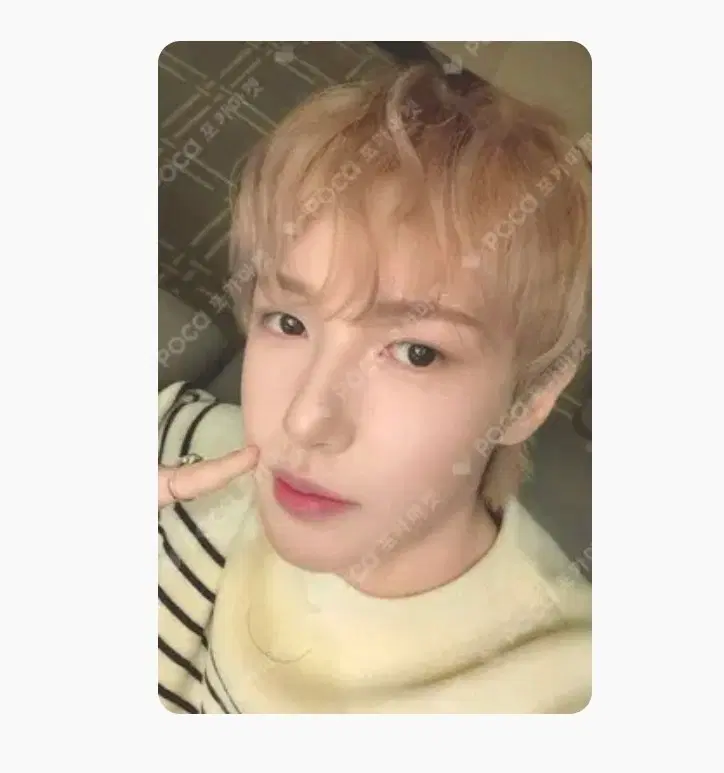 런쥔, 정우 포카 구해요
