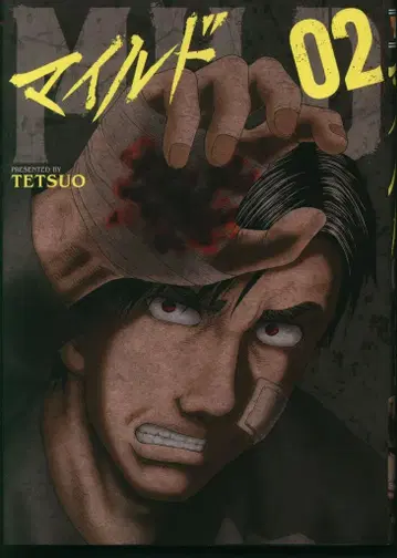 소년화보사 영킹 코믹스 TETSUO !!마일드 2