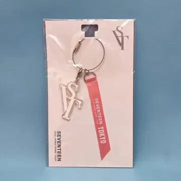 SEVENTEEN 2020 JAPAN DOME TOUR 도쿄 회장별 돔 기념 참 핑크