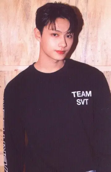 SEVENTEEN 2022 6th FANMEETING CARAT LAND JUN 트레이딩 카드 0017