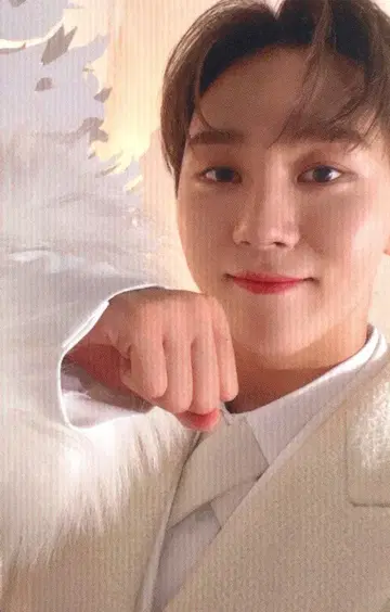 SEVENTEEN 아이노치카라 SEUNGKWAN 트레이딩 카드
