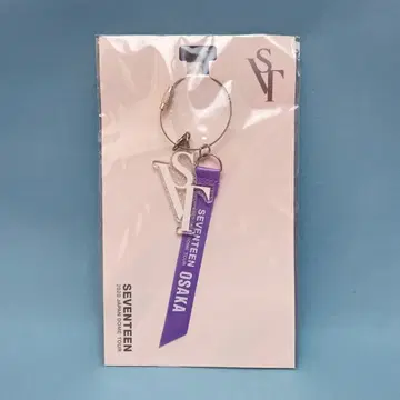 SEVENTEEN 2020 JAPAN DOME TOUR 오사카 회장별 돔 기념 참 보라색