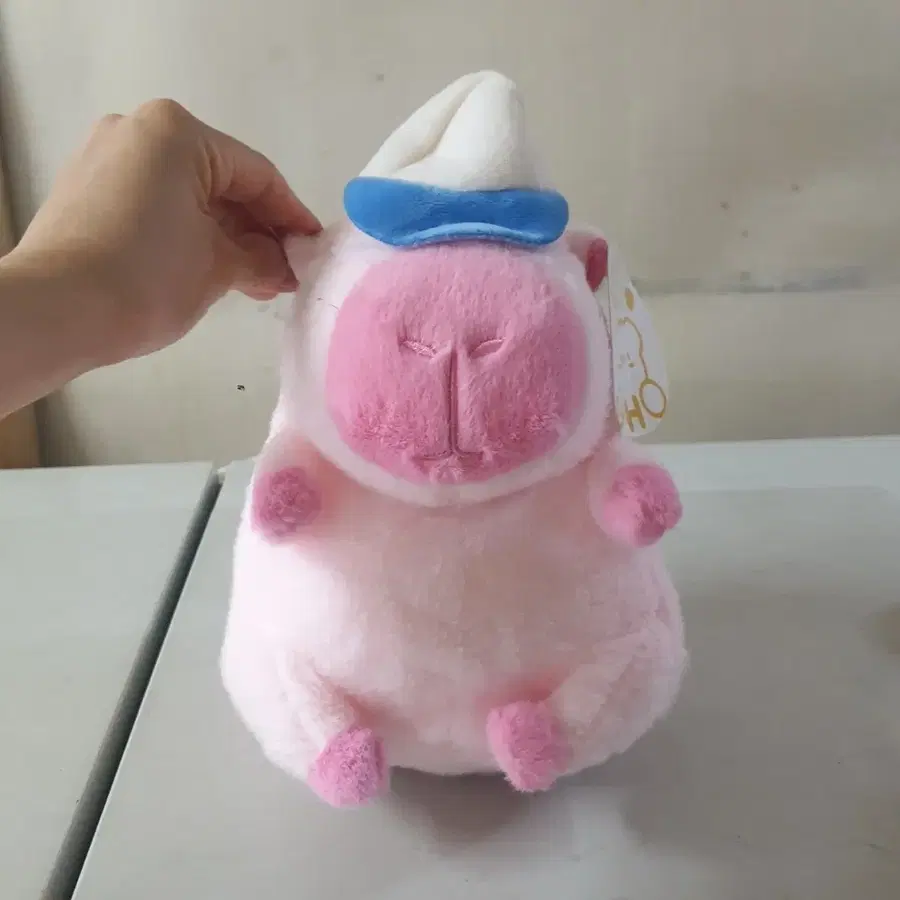 새것 카피바라 파우치 인형 카피바라인형 30cm