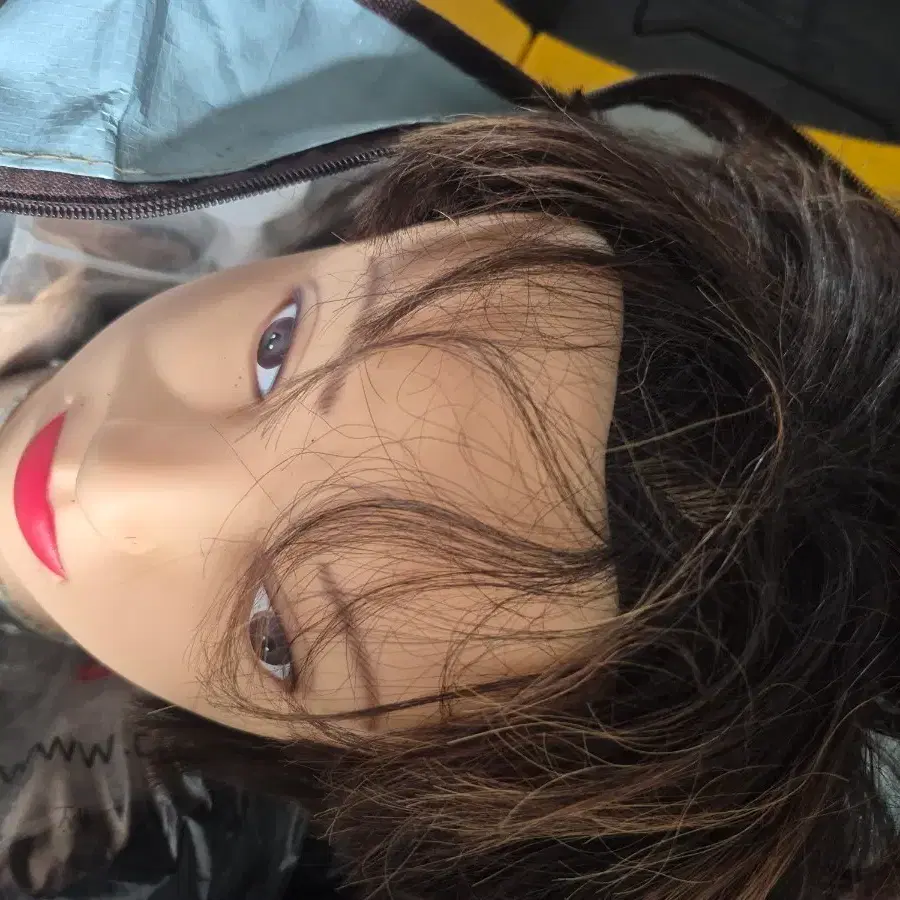 미용 연습용기발