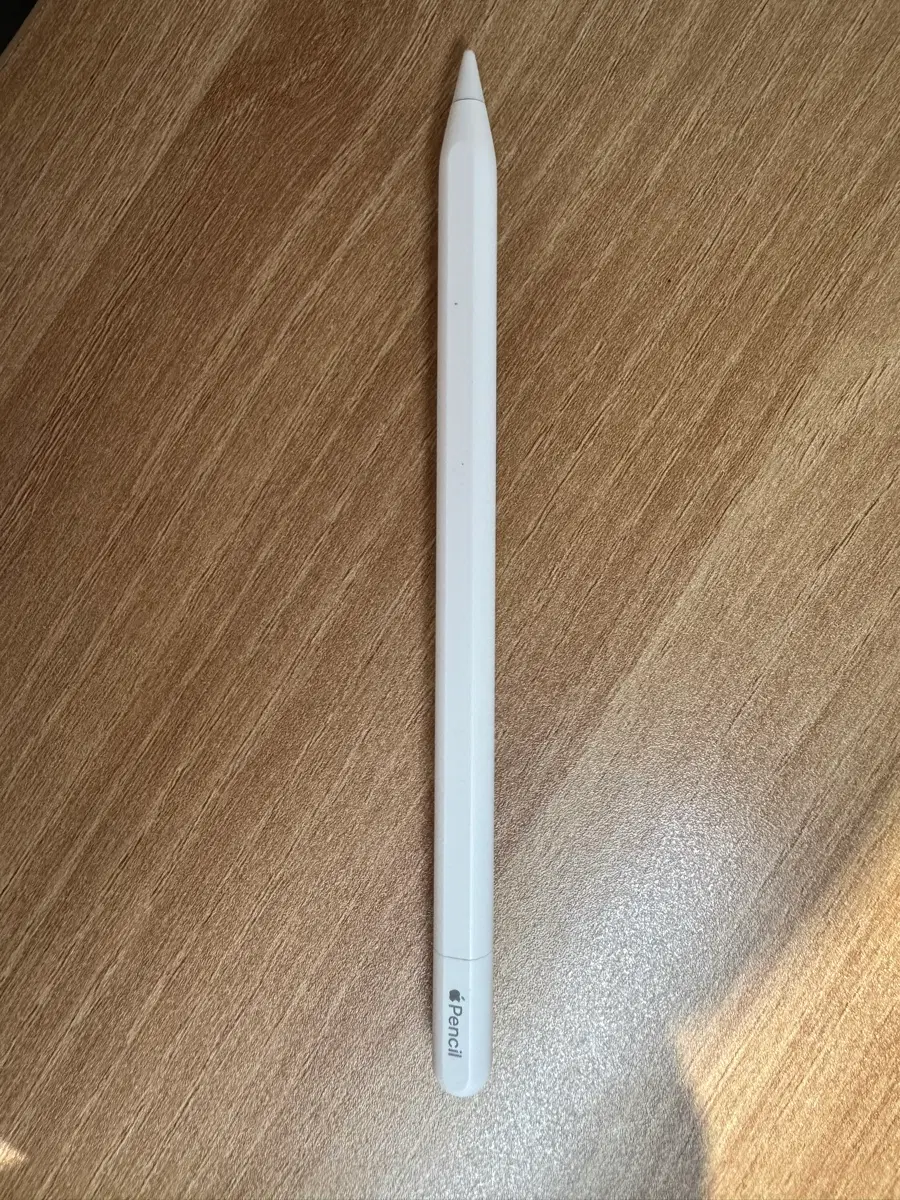 애플펜슬 usb-c