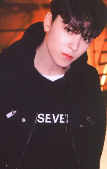 SEVENTEEN 2022 6th FANMEETING CARAT LAND VERNON 트레이딩 카드 0038