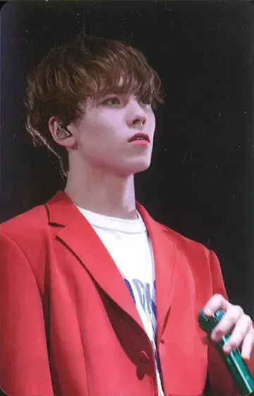 SEVENTEEN VERNON DVD/Blu-ray 2018 SVT 트레이딩 카드