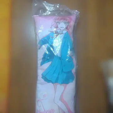 푸른상자 초노 히나 롱 쿠션