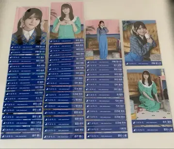 노기자카46 생사진 14th Anniversary 묶음 판매