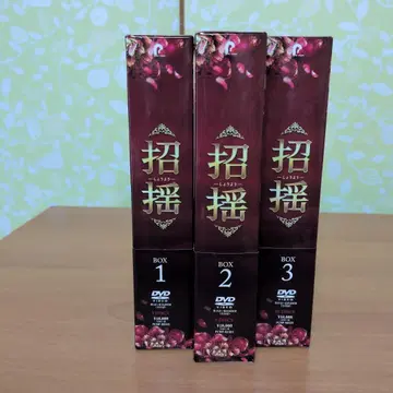 중국 드라마 초요 쇼요 dvd 전권 바이 루 / 쉬 카이 화류