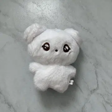 NCTWISH 료 마스터 봉제 인형