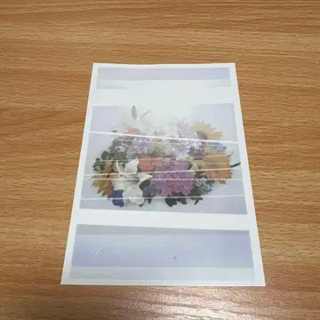 요루시카 여름 풀이 방해가 된다 엽서 얼룩 있음