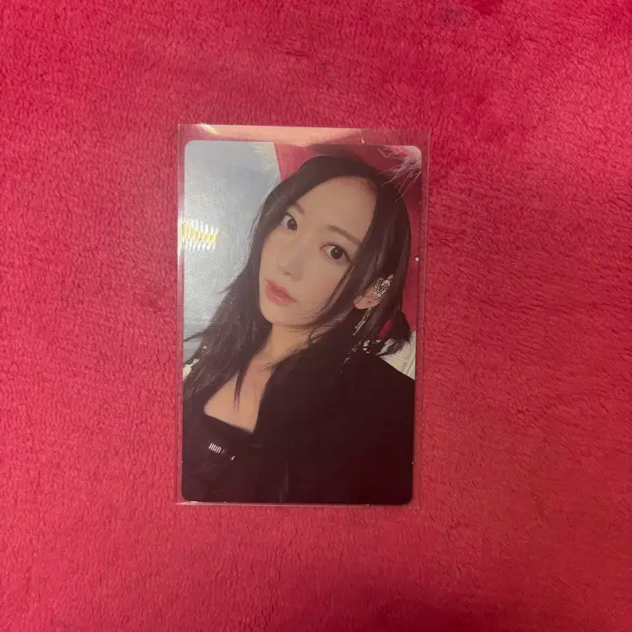 르세라핌 사쿠라 포카