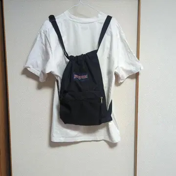 잔스포츠 JANSPORT 냅색 새상품급 Y2K