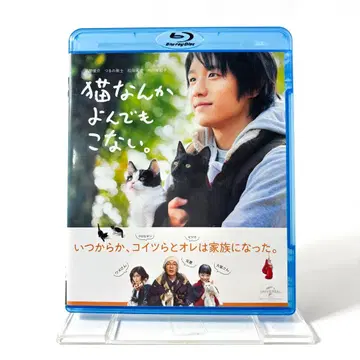 고양이는 부르지 않아. [Blu-ray]
