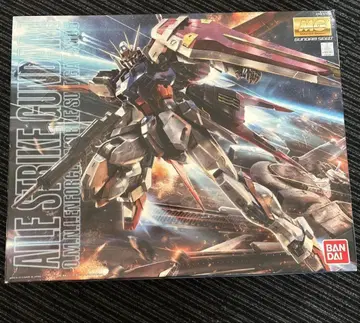 MG 1/100 에일 스트라이크 건담 Ver.RM