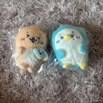 시로땅 시원한 호러 나이트 복권 랏코이누 & 쉘 라무네 세트