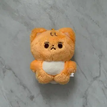 NCTDREAM 런쥔 마스터 봉제 인형