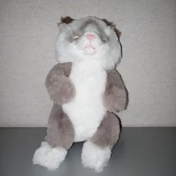 선레몬 Sunlemon 고양이 키링 봉제 인형