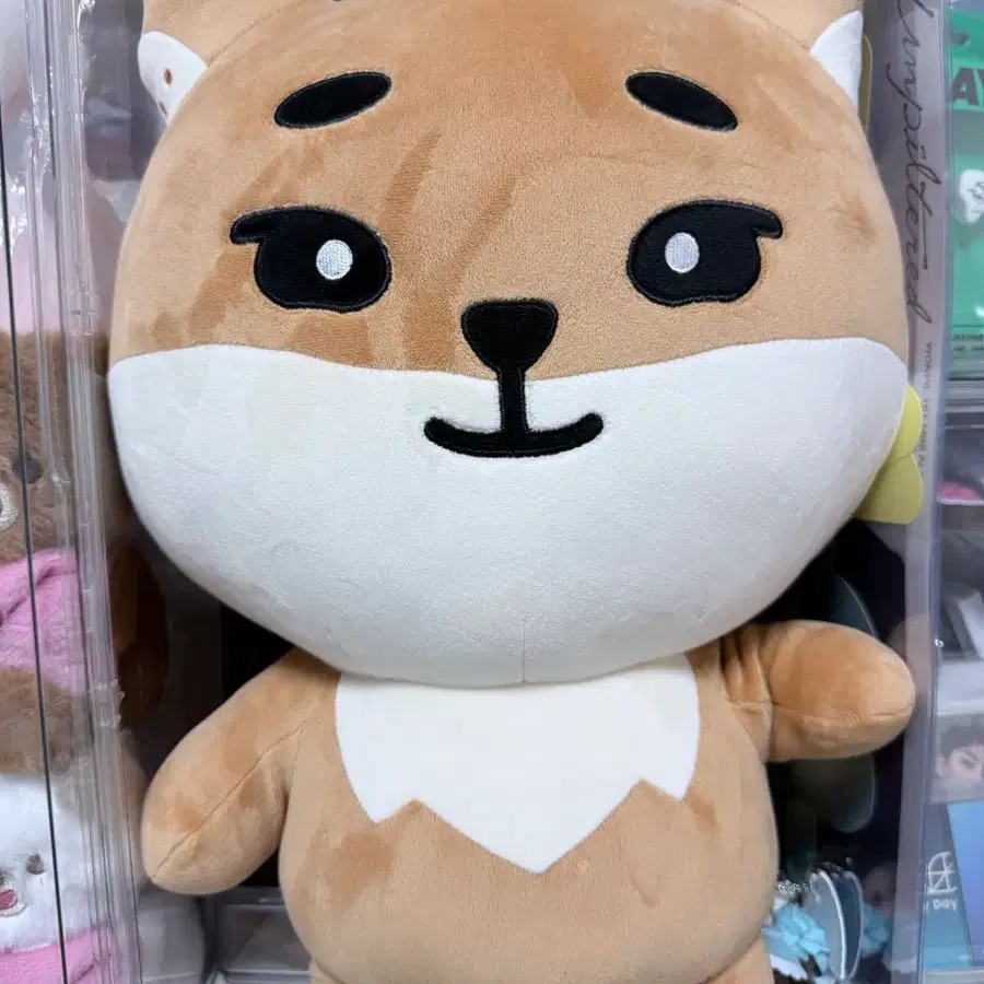 자멀케 자이언트 데니멀즈 케