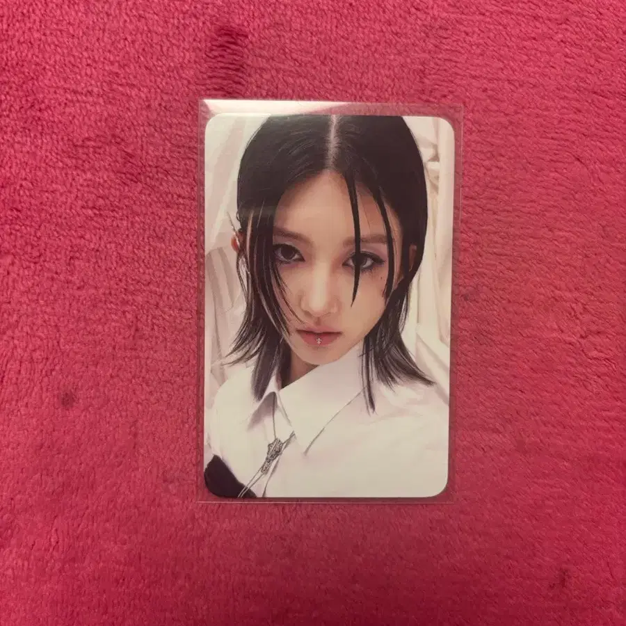 아이브 가을 포카