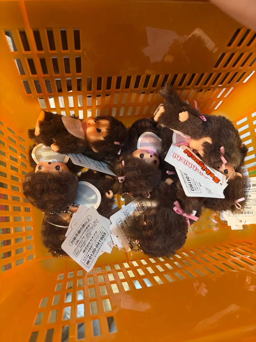 몬치치 베비치치 판매 (새 상품)