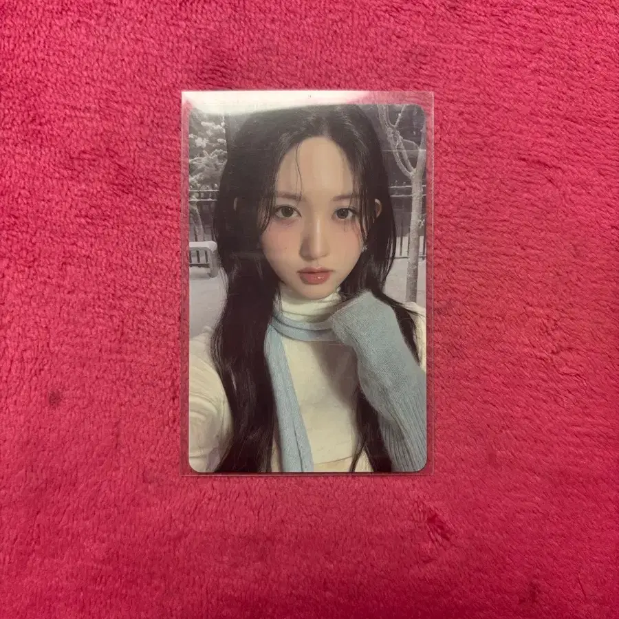 아이브 가을 포카