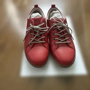 Achilles 솔보 스니커즈 23cm