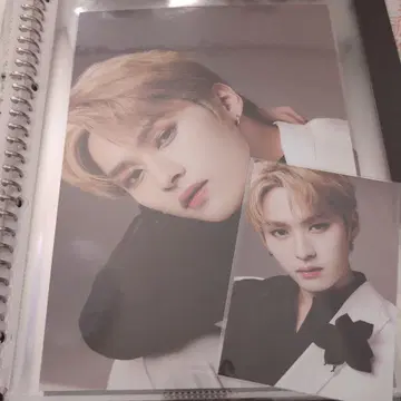 Straykids scawaii 혜택 양면 포스터 엽서 리노