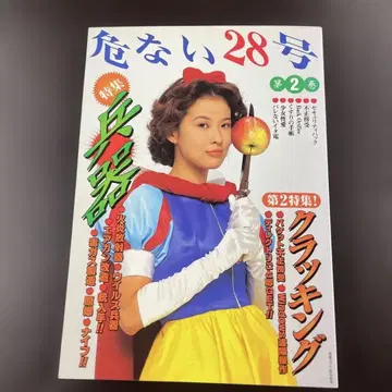 위험한 28호 제2권 병기 특집호 데이터하우스 1998년 전설의 뒷이야기 도서