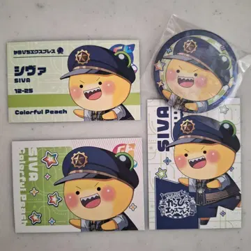 시바 카라피치 익스프레스 캔뱃지 랜덤 카드 특전 티켓풍 카드