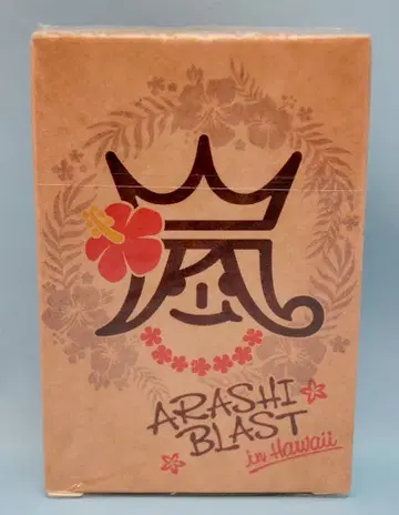 아라시 14년 BLAST in Hawaii 카드놀이