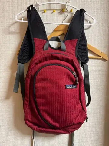 Patagonia 파타고니아 백팩 백팩