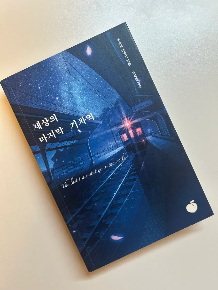 세상의 마지막 기차역 책