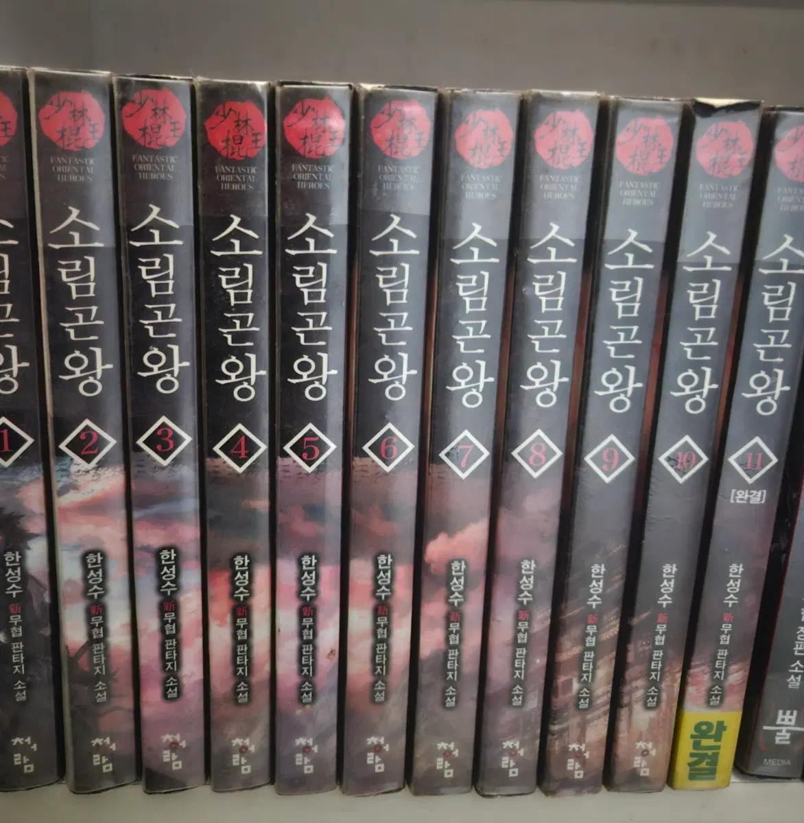 소림곤왕1-11완