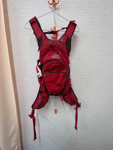 THE NORTH FACE 백팩 레드