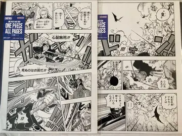원피스 ALL PAGES 와노쿠니 편 조로 킹 킬러 2종류