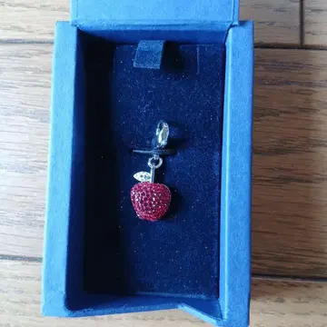 SWAROVSKI 스와로브스키 사과 참 레드