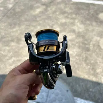 DAIWA LEGALIS LT3000-CXH